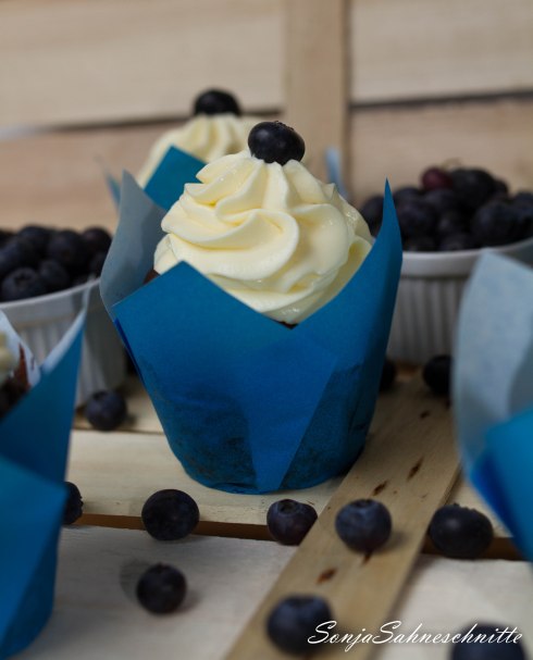 Double Blueberry-Chocolate-Cupcakes-2